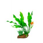 ΔΙΑΚΟΣΜΗΤΙΚΟ ΦΥΤΟ ΓΙΑ ΕΝΥΔΡΕΙΟ 6209