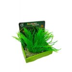 ΔΙΑΚΟΣΜΗΤΙΚΟ ΦΥΤΟ ΓΙΑ ΕΝΥΔΡΕΙΟ 9120