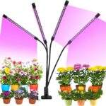 Λάμπα Ανάπτυξης Φυτών electronistas.gr