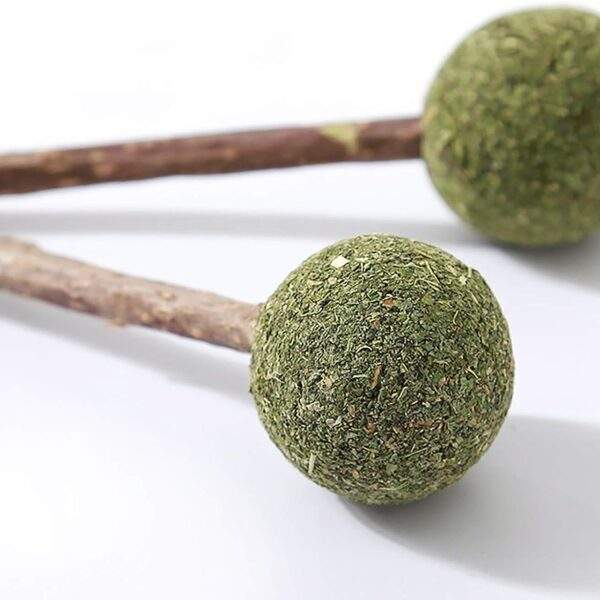 Παιχνίδι Γλειφιτζούρι Catnip Με Γεύση Ακτινίδιο Για Γάτες electronistas.gr