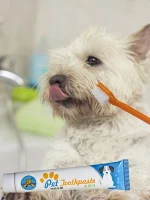 Σετ Στοματικής Υγιεινής Για Κατοικίδια Σε 2 Γεύσεις electronistas.gr