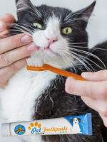 Σετ Στοματικής Υγιεινής Για Κατοικίδια Σε 2 Γεύσεις electronistas.gr