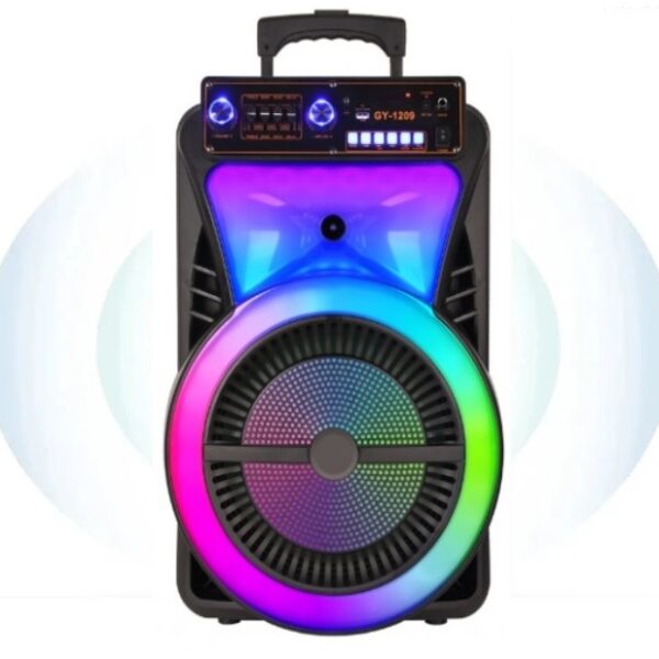 Φορητό Ηχείο Subwoofer 12” Με Σύστημα Καραόκε electronistas.gr