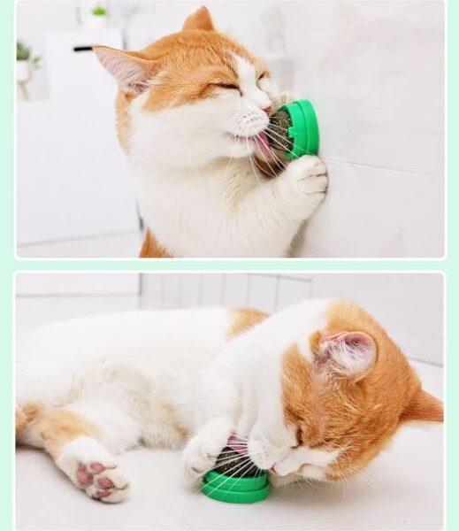 Catnip Γλειφιτζούρι Για Γάτες Με Αυτοκόλλητο Στη Βάση electronistas.gr