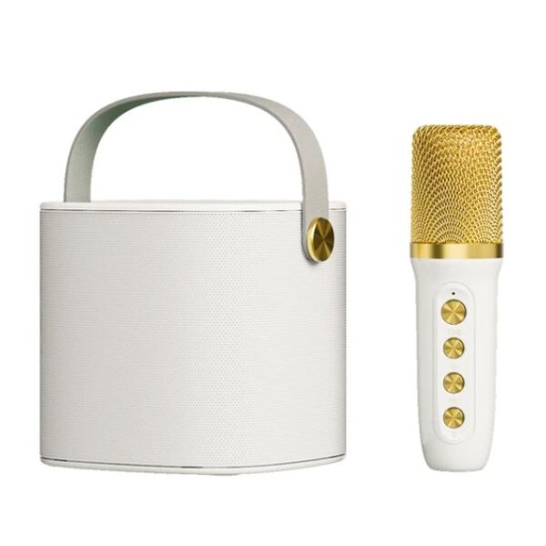 Σύστημα Karaoke Με Ασύρματο Μικρόφωνο Bluetooth/TF/USB/AUX electronistas.gr