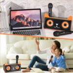 Σύστημα Karaoke Με 2 Μικρόφωνα & SD, USB, AUX, TF - Image 2