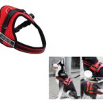 Σαμαράκι Σκύλου Small electronistas.gr