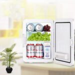 Ηλεκτρικό Φορητό Ψυγείο 10L – 12V & 220V electronistas.gr