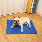 Δροσιστικό Στρώμα Κατοικιδίου Με Ψυκτικό Τζελ – 120×80cm electronistas.gr