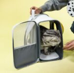 Αεριζόμενο Σακίδιο Μεταφοράς Κατοικιδίων – Λευκό electronistas.gr