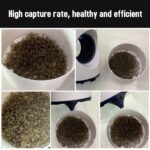 Ηλεκτρική Εντομοπαγίδα USB – Αθόρυβη electronistas.gr