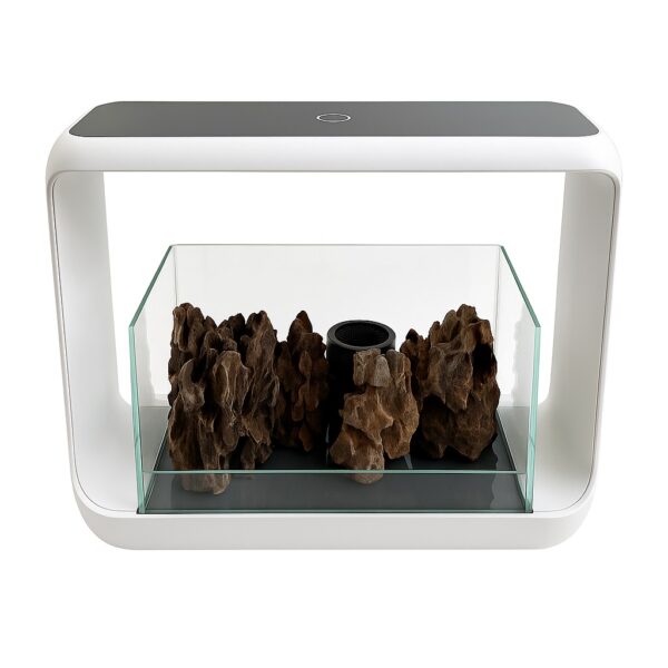 Κιτ Βραχοκήπου Με Terrarium electronistas.gr