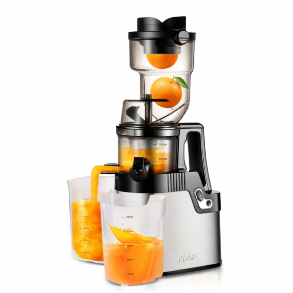 Ηλεκτρικός Αποχυμωτής Αργής Συμπίεσης 250W electronistas.gr